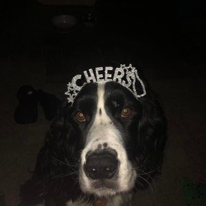 Meet your Posher, Gretchen